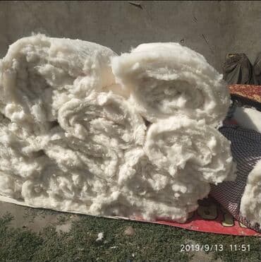 бумажные полотенца цена бишкек: Расчес ваты кебез тытабыз жилмассив кок-жар улица кок-жар 43 на — 2