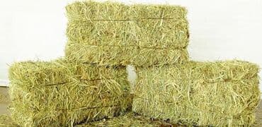 кормовая соль для животных: Арпа саман 300 тюк — 1