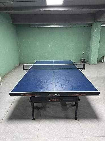 теннисный столик: Профессиональный теннисный стол Double Fish - Бренд/модель: Double — 1