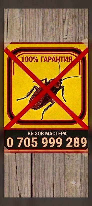 iphone iphone: Дезинфекция, дезинсекция, | Клопы, Блохи, Тараканы, | Транспорт, Офисы, Квартиры — 1