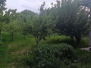 сдаю дом арашан: Продается дом в селе Арашан 16 соток,можно и под бизнес,первая — 5