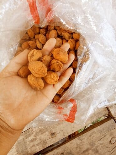 Кандек өрүгү сатылат куурулган жана куурулбаган данек сатылат сиздин