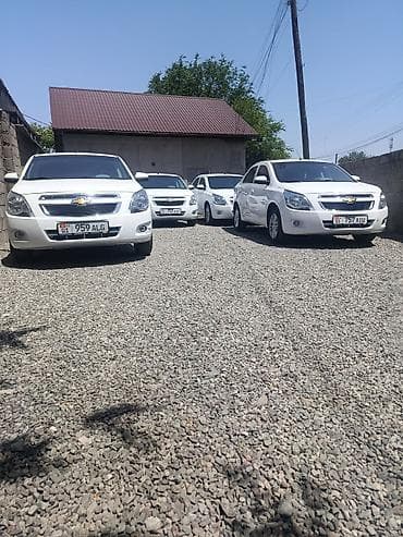 vip bishkek tg: Авто прокат не в такси прокат — 1