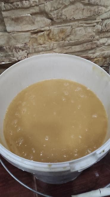 Крупы, мука, сахар: Продам горный мёд оптом, Сусамыр ароматный горный мед. Цена 350 сом — 4