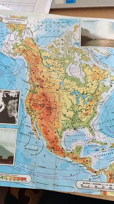 Тил курстары: Репетитор Биология Олимпиадага даярдоо — 1