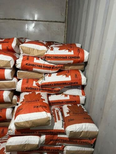 где купить саженцы в бишкеке: Продаю семена кукурузы — 1