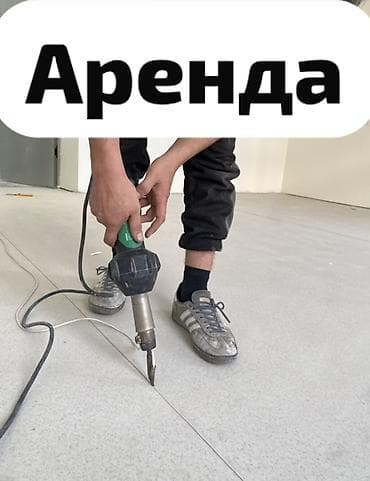 уста пакса: Сдам в аренду — 1