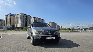 mersedes e55: BMW X5: 2004 г., 4.4 л, Автомат, Бензин, Кроссовер — 1