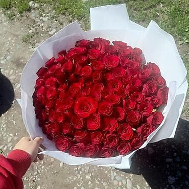 купить лепестки роз: Букет из красных роз в стильной белой упаковке. - Шикарная шапка из — 1