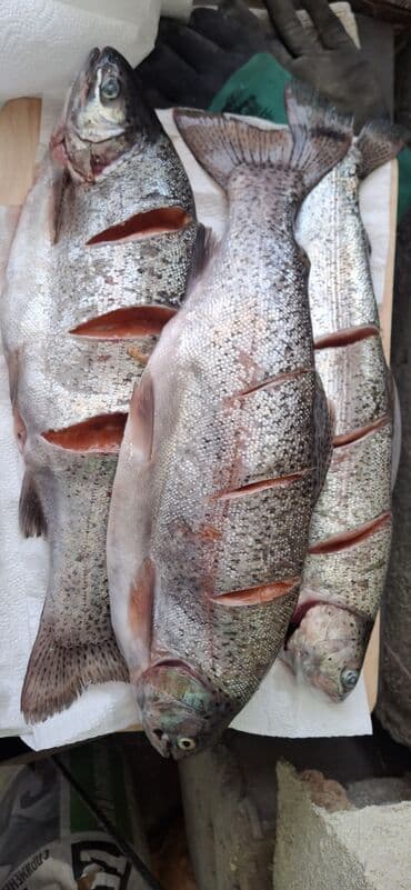 Фрукты: Свежий, Самовывоз, Платная доставка — 3