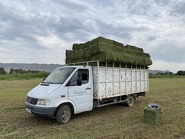 авто домик: Mercedes-Benz Спринтер: 1999 г., 2.9 л, Механика, Дизель, Фургон — 4