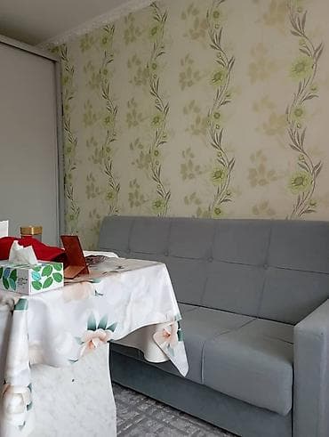 1 комнату: 24 м², С мебелью — 10