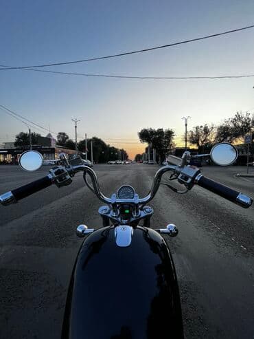 cobra выхлопные системы для мотоциклов: Чоппер Suzuki, 800 куб. см, Бензин, Взрослый, Б/у — 6