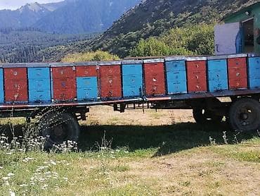 195 65 15 с: Прицеп, Special trailer — 1