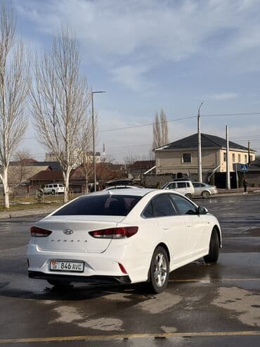 шины оптом бу: Hyundai Sonata: 2019 г., 2 л, Автомат, Газ, Седан — 4