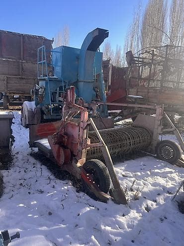 беларуз 82: Фасоль жулгуч сатылат 3х — 3