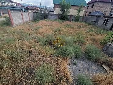 бишкек участык: 4 соток — 4