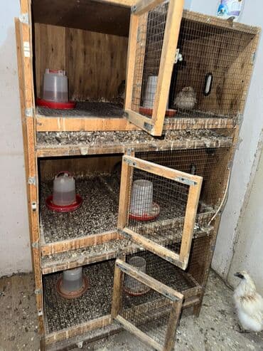 будка собаки: Продается клетка — 3