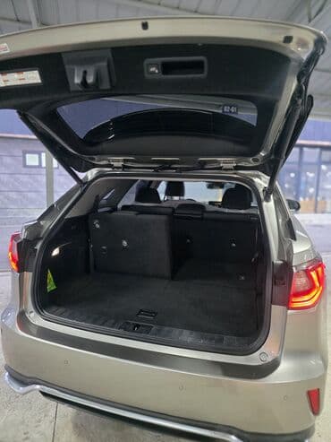 акум для скутера: Lexus RX: 2019 г., 3.5 л, Автомат, Бензиновая, Кроссовер — 1