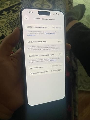 ethernet кабель бишкек: IPhone 15 Pro Max, Колдонулган, 256 ГБ, Күмүш, Куту, 85 % — 10