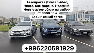 гостевой дом в караколе: Услуги авто с водителем 24/7. Поездки в аэропорт и по городу — 4