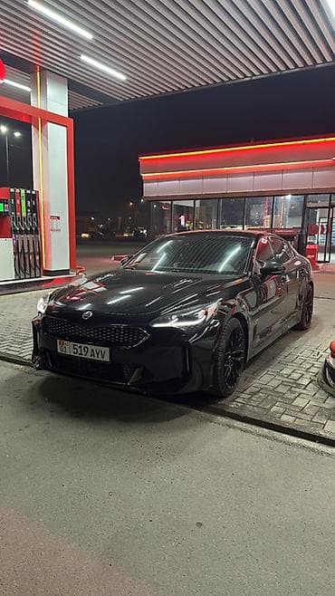 киа к5 2020г: Kia Stinger: 2019 г., 2 л, Автомат, Бензин, Фастбек — 9