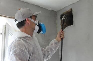 чистка печных труб и дымоходов: Прочистка вентиляции и прочистка шахт🌱 - Комплексная очистка — 8