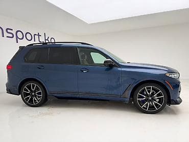 m зеркало: BMW X7: 2019 г., 3 л, Автомат, Бензин, Внедорожник — 3
