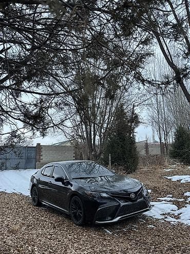 camry 2000: Toyota Camry: 2020 г., 2.5 л, Автомат, Бензин, Седан — 1