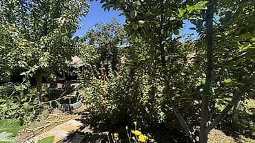 Продажа домов: 🏡 Продаётся дом в Балыкчы! 📍 Дом расположен в хорошем, развитом — 5
