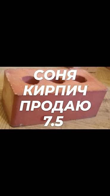продаю рыба: Кирпич керамический с круглыми сквозными отверстиями. - Формат — 2