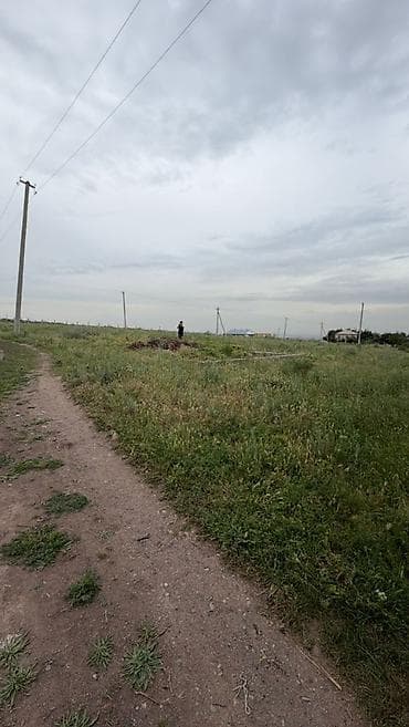 дача труд: 5 соток, Красная книга — 3