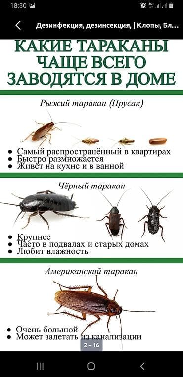 бассейн с шарами: Токмок Токмок Токмок Кант БишкекПрофессиональная обработка от — 3