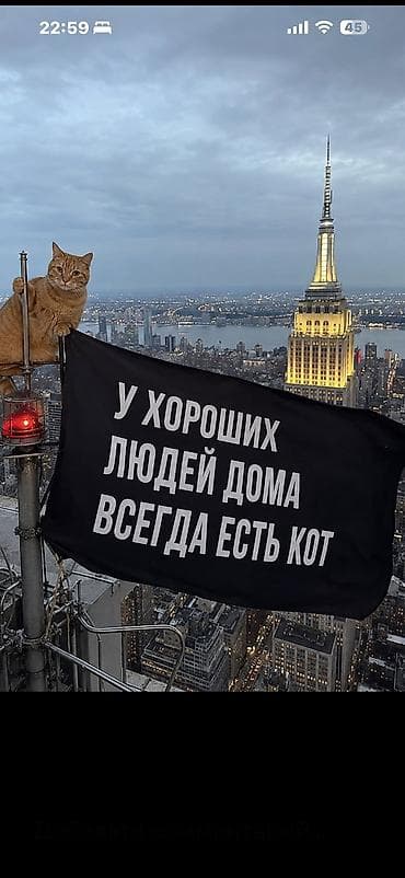 Мышыктар: Ургаачы — 6