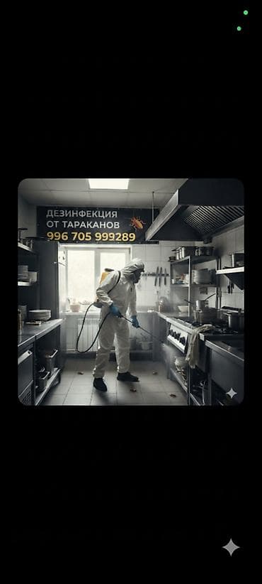 обработка от блох: Делить кухню с непрошенными гостями! 🪳🚫 ​Надоело включать свет и — 5