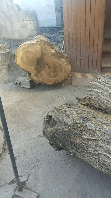 лес: Большие чурбаки/отрезки древесины для столешниц, мебели и декора. - — 3