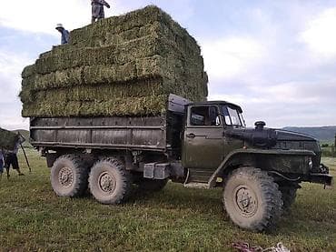 январь 5 1: Услуга: вывоз и перевозка сена/тюков на вездеходном самосвале 6×6 — 2