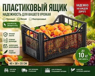 Упаковочные товары: Пластиковый ящик для фруктов, овощей и ягод - любые размеры и любые — 2