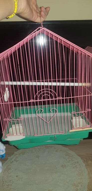 купить клетку для декоративного кролика бу: Клетка для птиц и хомяков. в подарок 1 коробка корм для птиц — 2