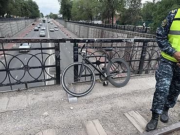 Фикс-байк iris Аппалачи (fixed gear) с ременным приводом - Рама