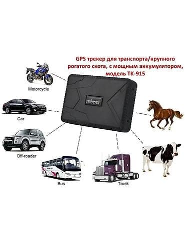 дом для кош: **дылкыларга жана машинага GPS Трекер TK-Star TK-915** - — 1