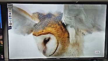 айфоны оптом: Телевизоры оптом и в розницу Samsung, LG, Hisense, Konka, Yasin — 3