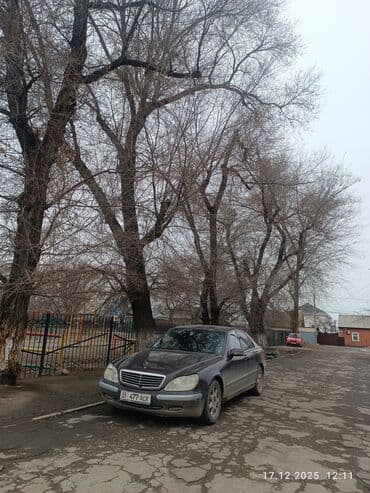 mersedes e55: Mercedes-Benz S-Class: 2001 г., 3.2 л, Автомат, Бензин, Седан — 7