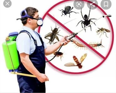 уничтожение клоп блох: Дезинфекция!!!любой сложности (*❛‿❛)→Приемлемая цена (*❛‿❛)→Качество — 9