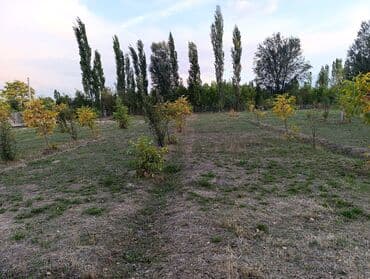 продается дом село раздольное: 39 соток, Для строительства, Красная книга, Договор купли-продажи — 2