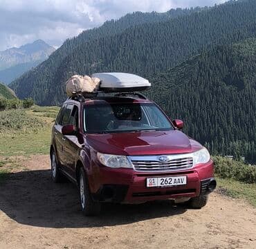 Subaru Forester: 2010 г., 2.5 л, Автомат, Газ, Кроссовер