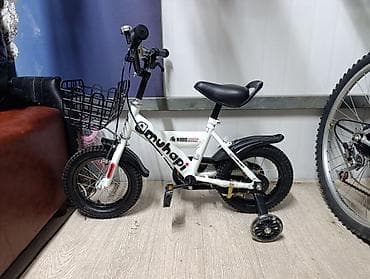 стоимость лабубу: Детский велосипед, 2-колесный, 3 - 4 года, Для мальчика, Новый — 1