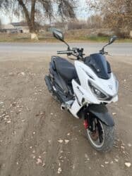 шипованная резина: Все подробные вопросы по телефону — 6