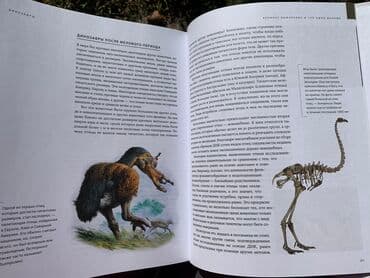 купить книгу кладбище домашних животных: Книга «Динозавры» Новая, покупали в Букингем, нигде не порвано, не — 7