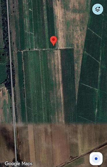 Аренда участков: 120 соток, Для сельского хозяйства, Договор купли-продажи — 6